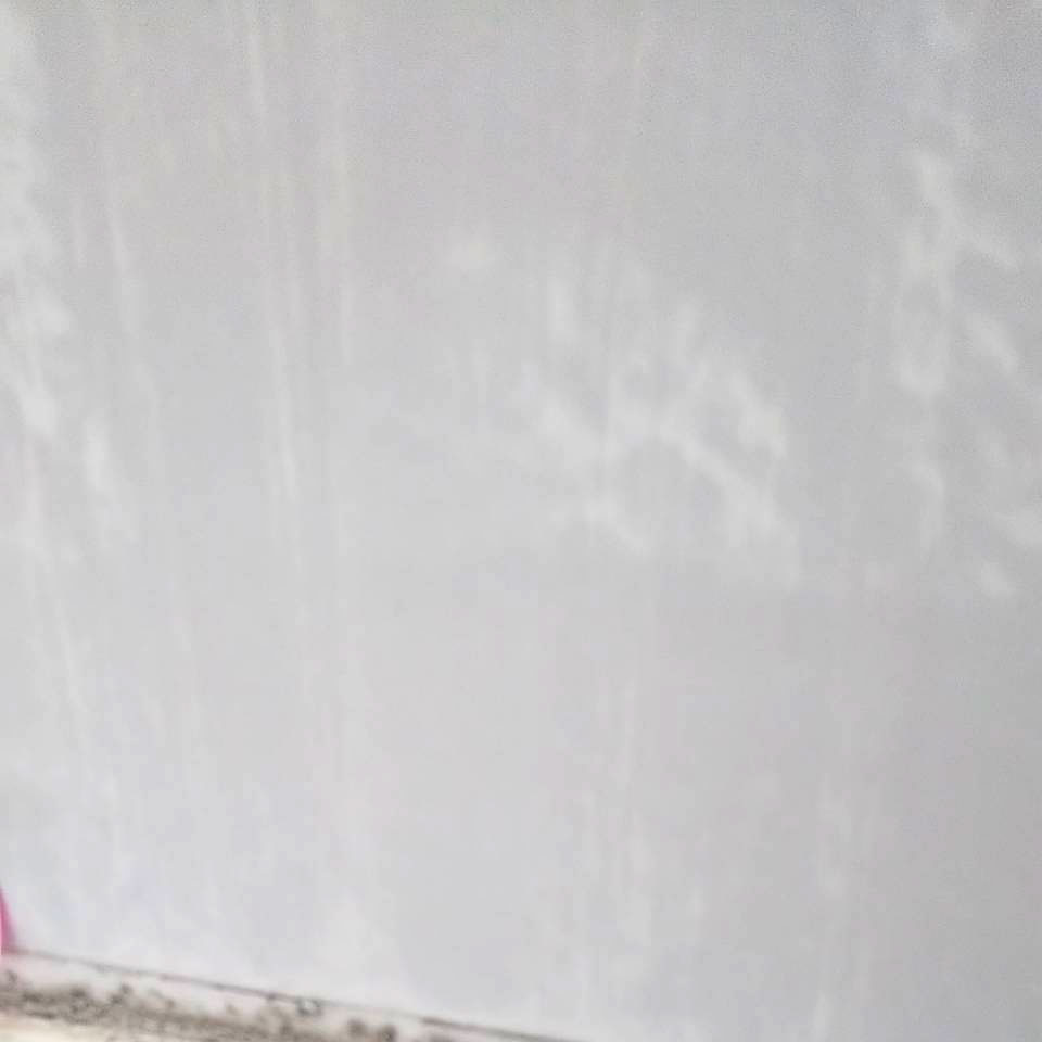 外壁塗装の塗替え時期